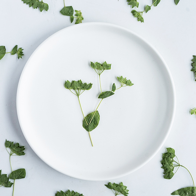 60Pcs Rabbit Ear Grass with Br - огляд і ціна Plant Parent Sticker